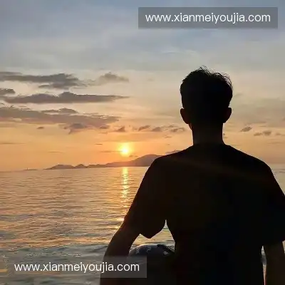 明锦柳